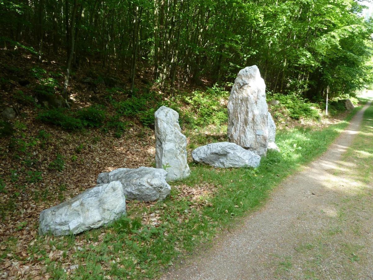 Pension Ferienwohnungen Frey Tännesberg Extérieur photo